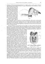 giornale/CFI0397638/1894/unico/00000109