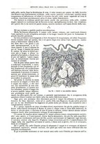 giornale/CFI0397638/1894/unico/00000203