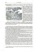 giornale/CFI0397638/1894/unico/00000204