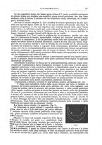 giornale/CFI0397638/1894/unico/00000213