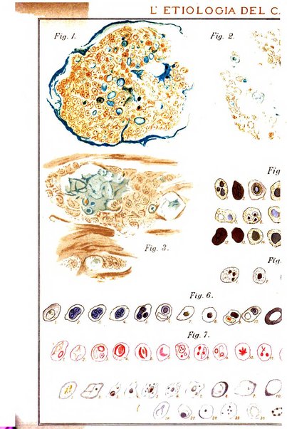 Il policlinico. Sezione chirurgica organo della Società italiana di chirurgia