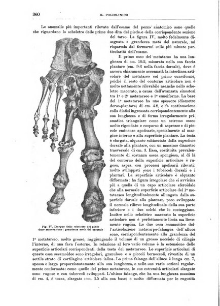 Il policlinico. Sezione chirurgica organo della Società italiana di chirurgia