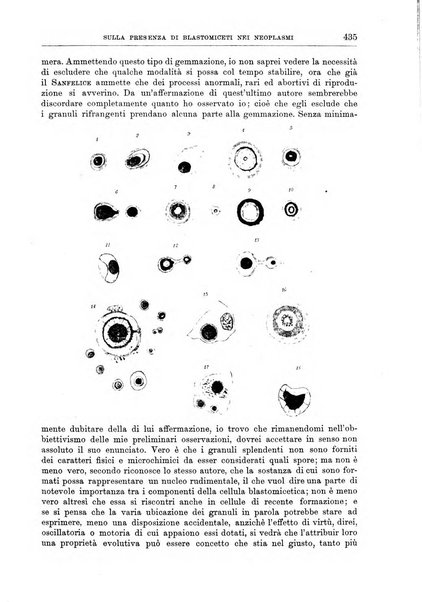 Il policlinico. Sezione chirurgica organo della Società italiana di chirurgia