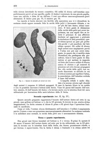 Il policlinico. Sezione chirurgica organo della Società italiana di chirurgia