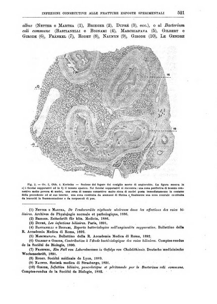 Il policlinico. Sezione chirurgica organo della Società italiana di chirurgia