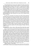 giornale/CFI0397638/1896/unico/00000033