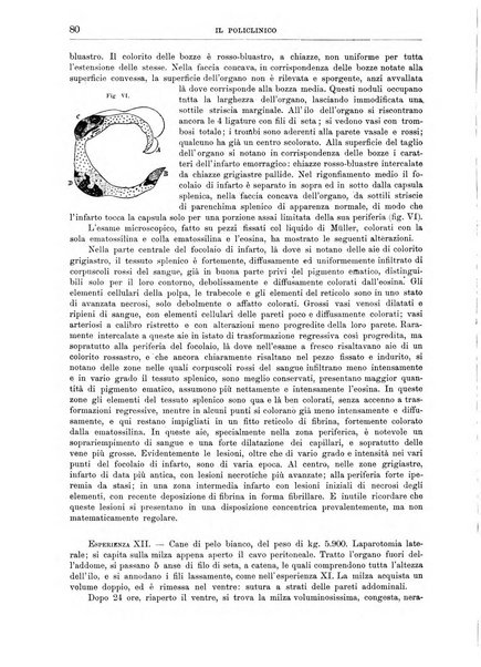 Il policlinico. Sezione chirurgica organo della Società italiana di chirurgia