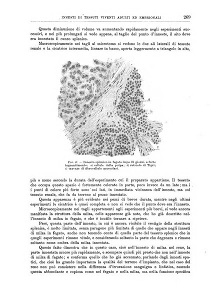 Il policlinico. Sezione chirurgica organo della Società italiana di chirurgia