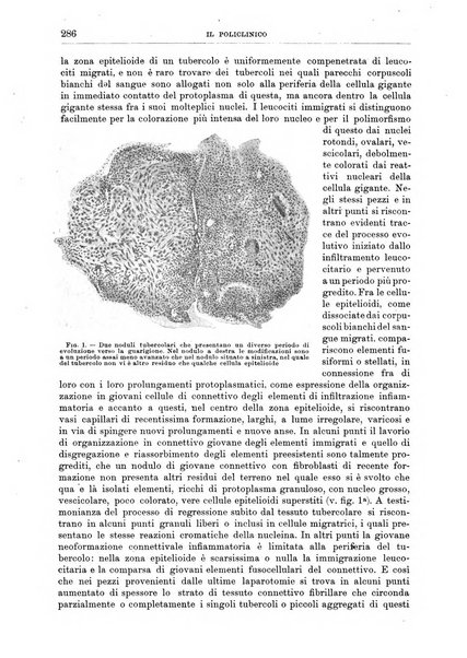 Il policlinico. Sezione chirurgica organo della Società italiana di chirurgia