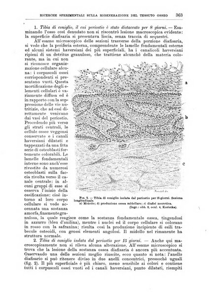 Il policlinico. Sezione chirurgica organo della Società italiana di chirurgia