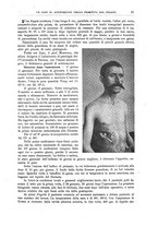 giornale/CFI0397638/1897/unico/00000029
