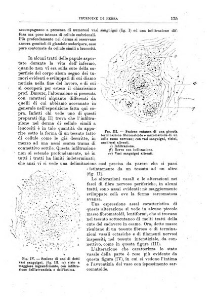 Il policlinico. Sezione chirurgica organo della Società italiana di chirurgia