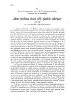 giornale/CFI0397638/1897/unico/00000228