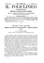 giornale/CFI0397638/1897/unico/00000249