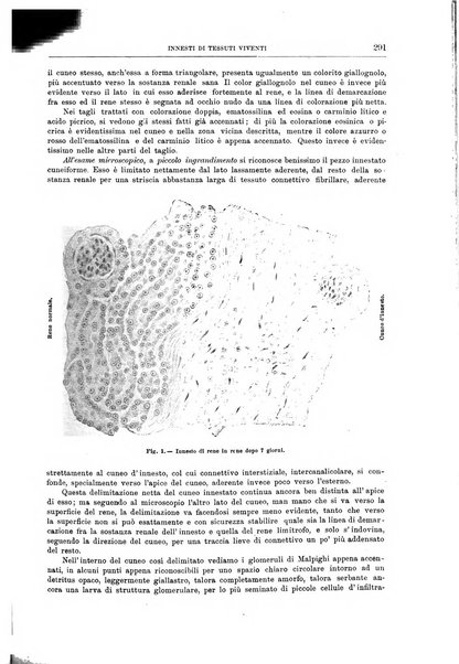 Il policlinico. Sezione chirurgica organo della Società italiana di chirurgia