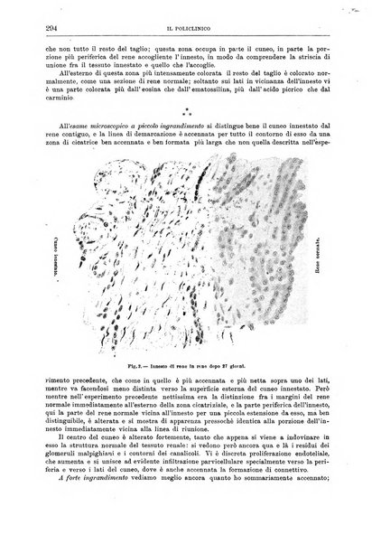 Il policlinico. Sezione chirurgica organo della Società italiana di chirurgia