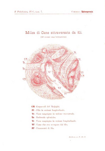 Il policlinico. Sezione chirurgica organo della Società italiana di chirurgia