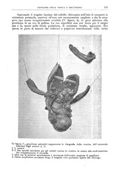 Il policlinico. Sezione chirurgica organo della Società italiana di chirurgia