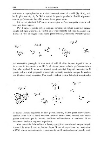 Il policlinico. Sezione chirurgica organo della Società italiana di chirurgia