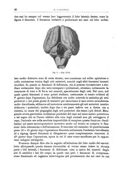 Il policlinico. Sezione chirurgica organo della Società italiana di chirurgia