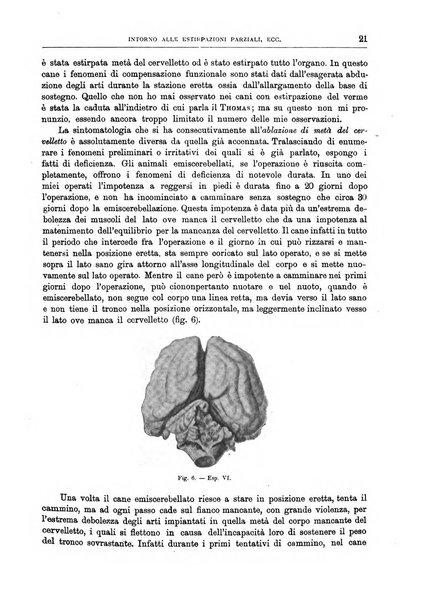 Il policlinico. Sezione chirurgica organo della Società italiana di chirurgia