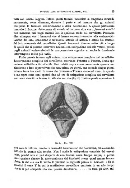 Il policlinico. Sezione chirurgica organo della Società italiana di chirurgia