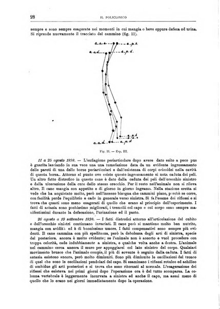 Il policlinico. Sezione chirurgica organo della Società italiana di chirurgia