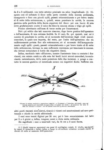 Il policlinico. Sezione chirurgica organo della Società italiana di chirurgia