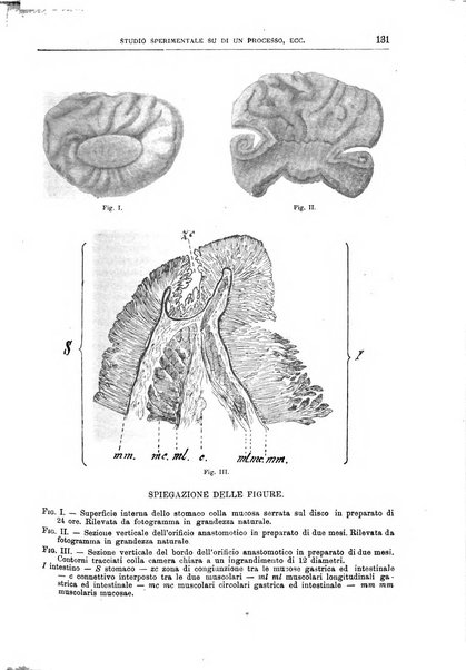 Il policlinico. Sezione chirurgica organo della Società italiana di chirurgia