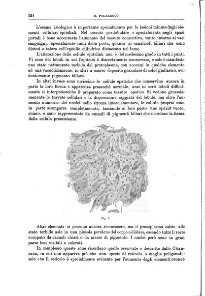 Il policlinico. Sezione chirurgica organo della Società italiana di chirurgia