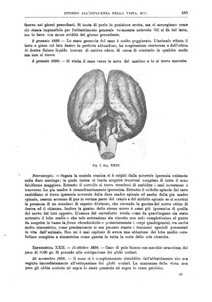 Il policlinico. Sezione chirurgica organo della Società italiana di chirurgia