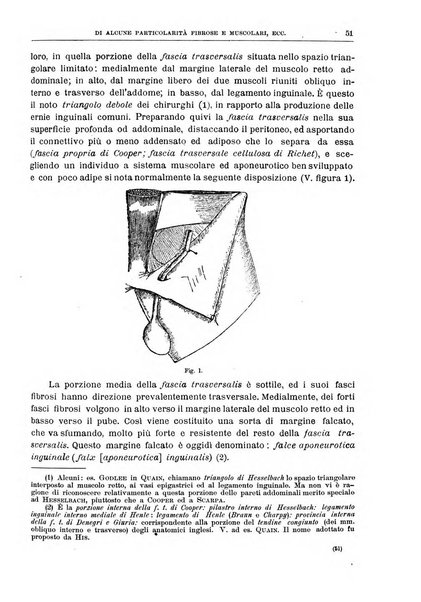 Il policlinico. Sezione chirurgica organo della Società italiana di chirurgia