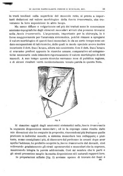 Il policlinico. Sezione chirurgica organo della Società italiana di chirurgia