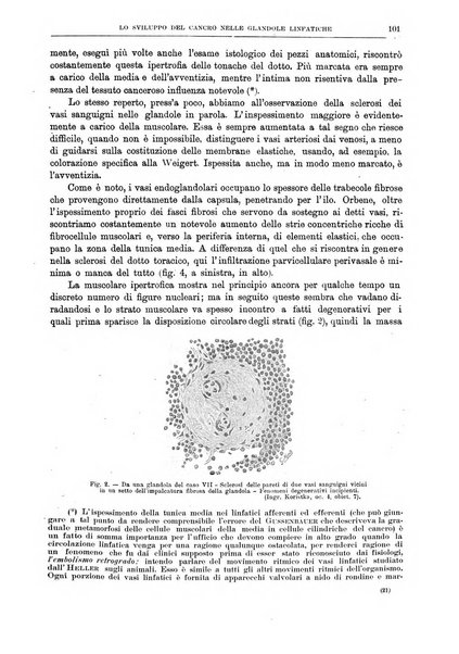 Il policlinico. Sezione chirurgica organo della Società italiana di chirurgia