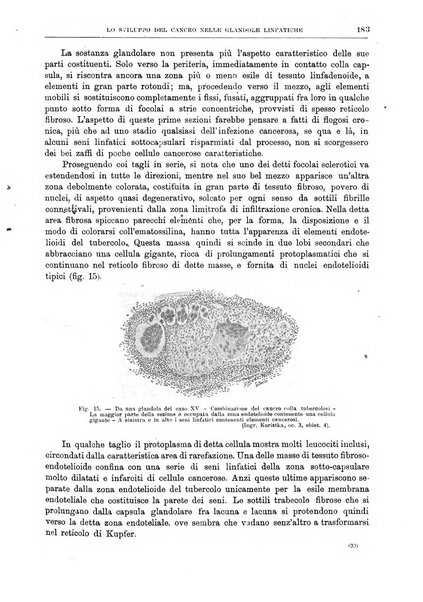 Il policlinico. Sezione chirurgica organo della Società italiana di chirurgia