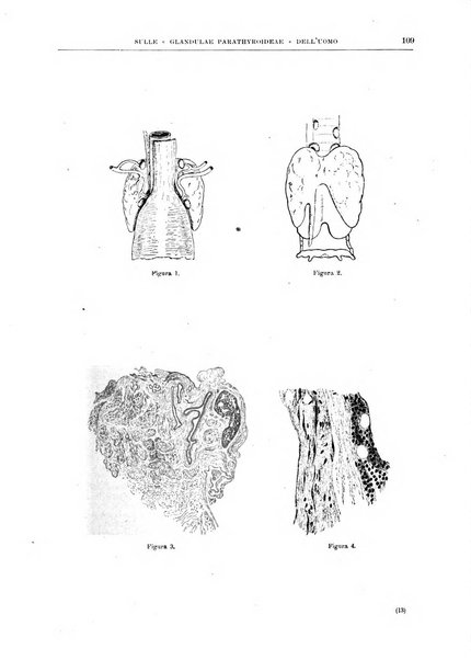 Il policlinico. Sezione chirurgica organo della Società italiana di chirurgia