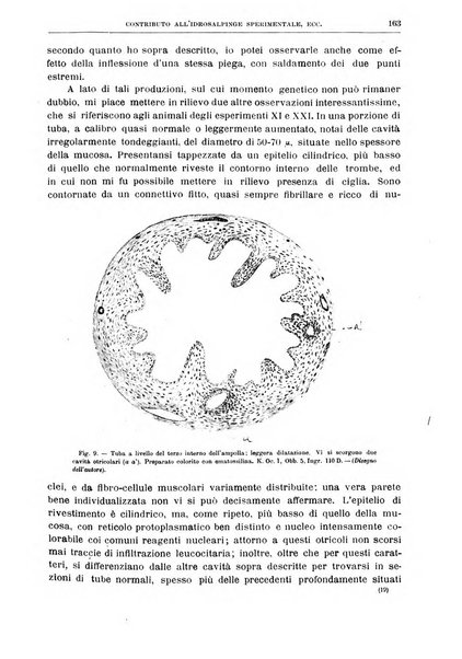 Il policlinico. Sezione chirurgica organo della Società italiana di chirurgia