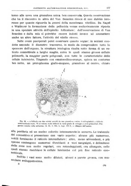 Il policlinico. Sezione chirurgica organo della Società italiana di chirurgia