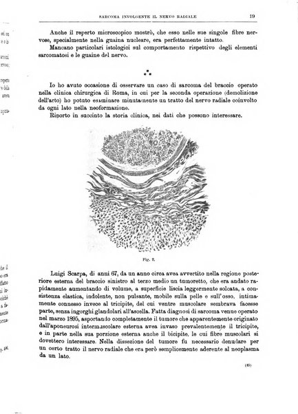 Il policlinico. Sezione chirurgica organo della Società italiana di chirurgia