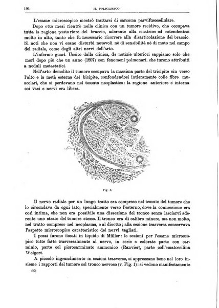 Il policlinico. Sezione chirurgica organo della Società italiana di chirurgia