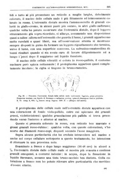 Il policlinico. Sezione chirurgica organo della Società italiana di chirurgia