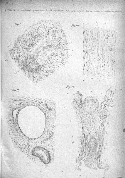 Il policlinico. Sezione chirurgica organo della Società italiana di chirurgia