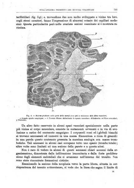 Il policlinico. Sezione chirurgica organo della Società italiana di chirurgia