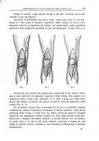 giornale/CFI0397638/1902/unico/00000473