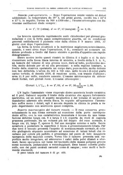 Il policlinico. Sezione chirurgica organo della Società italiana di chirurgia