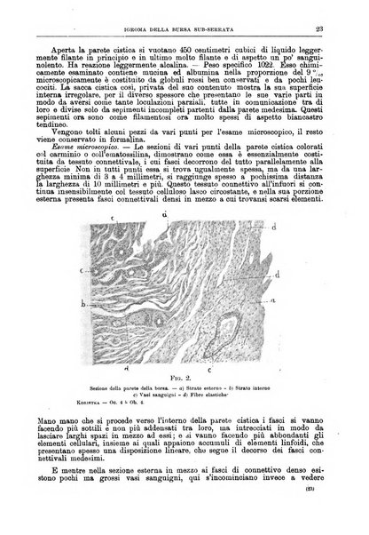 Il policlinico. Sezione chirurgica organo della Società italiana di chirurgia