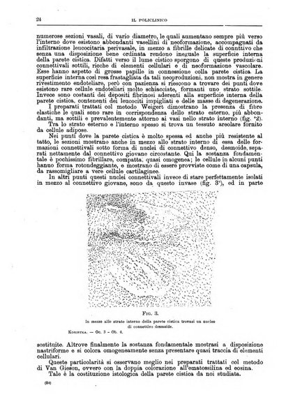 Il policlinico. Sezione chirurgica organo della Società italiana di chirurgia