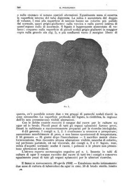 Il policlinico. Sezione chirurgica organo della Società italiana di chirurgia