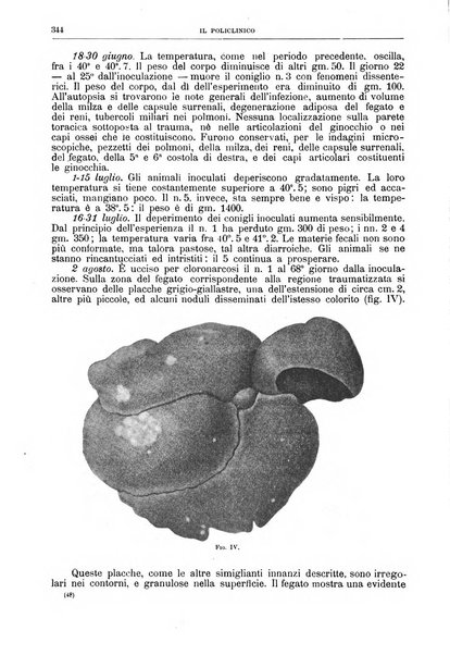 Il policlinico. Sezione chirurgica organo della Società italiana di chirurgia