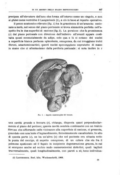 Il policlinico. Sezione chirurgica organo della Società italiana di chirurgia